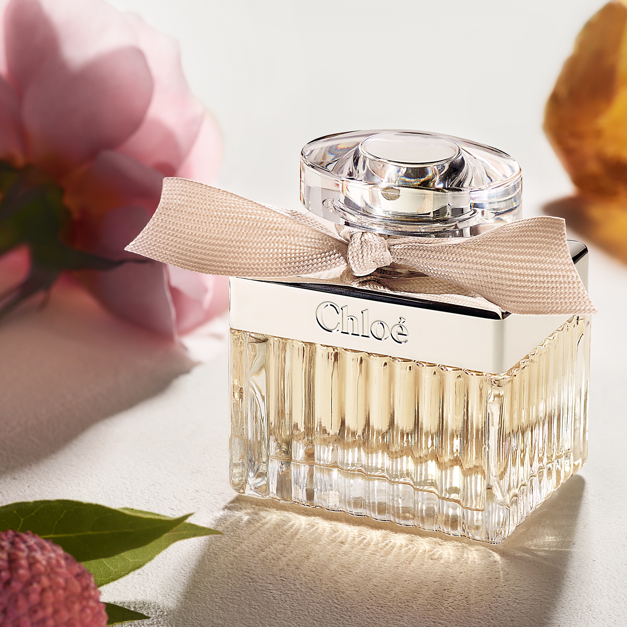 Signature Edp Spray Refill