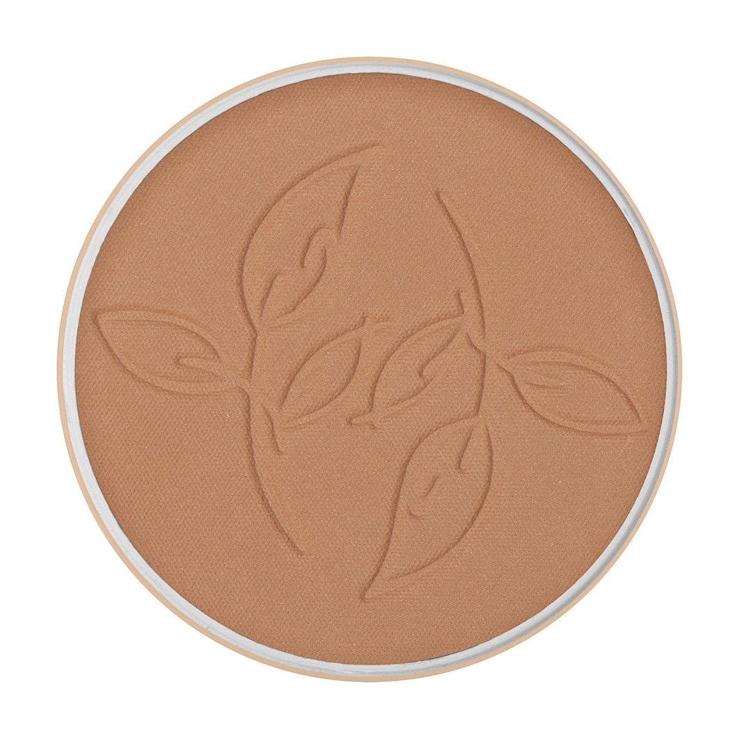 Bronzing Powder