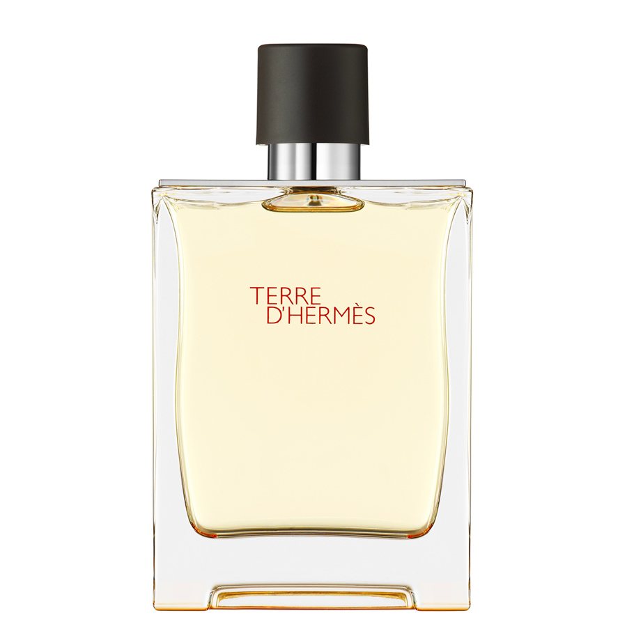 Terre D'Hermes Eau de Toilette Spray
