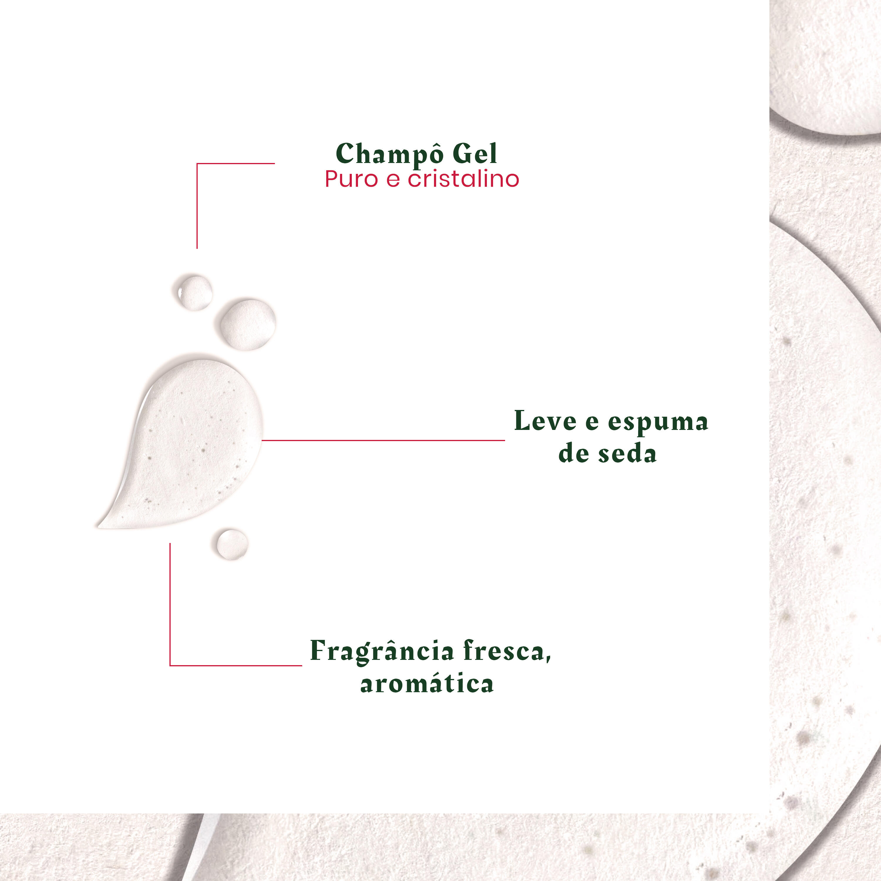 Neopur Champô Anticaspa