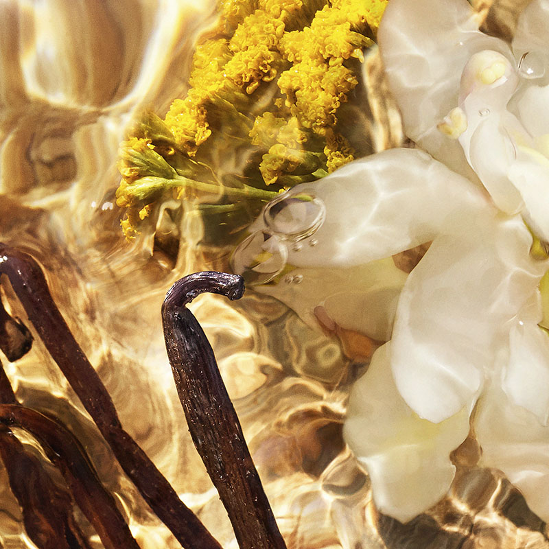 Aqua Allegoria Woody Forte Bosca Vanilla Eau de Parfum