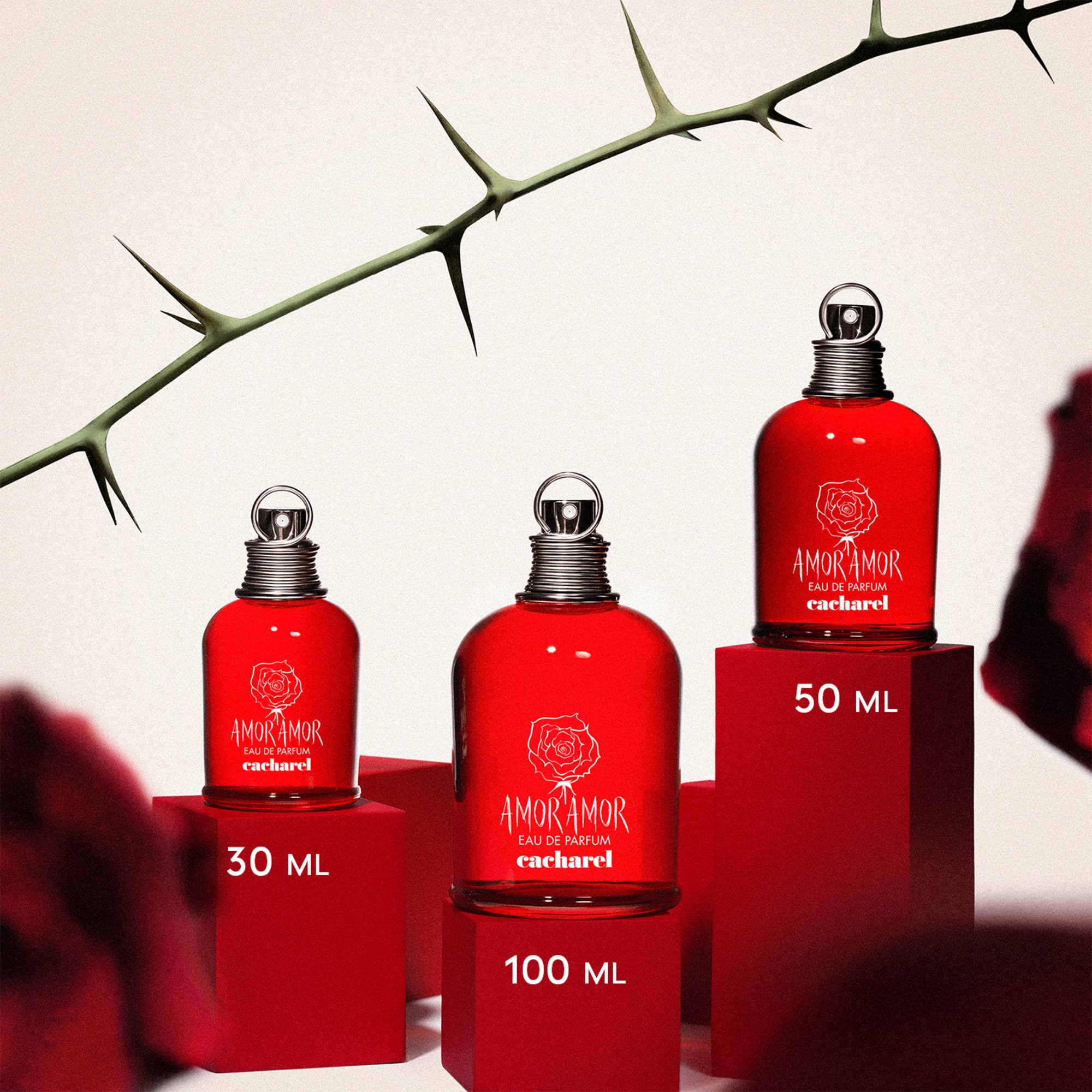 Amor Amor Eau de Parfum Spray