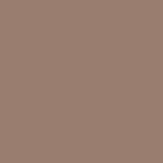  05 - Satin Taupe