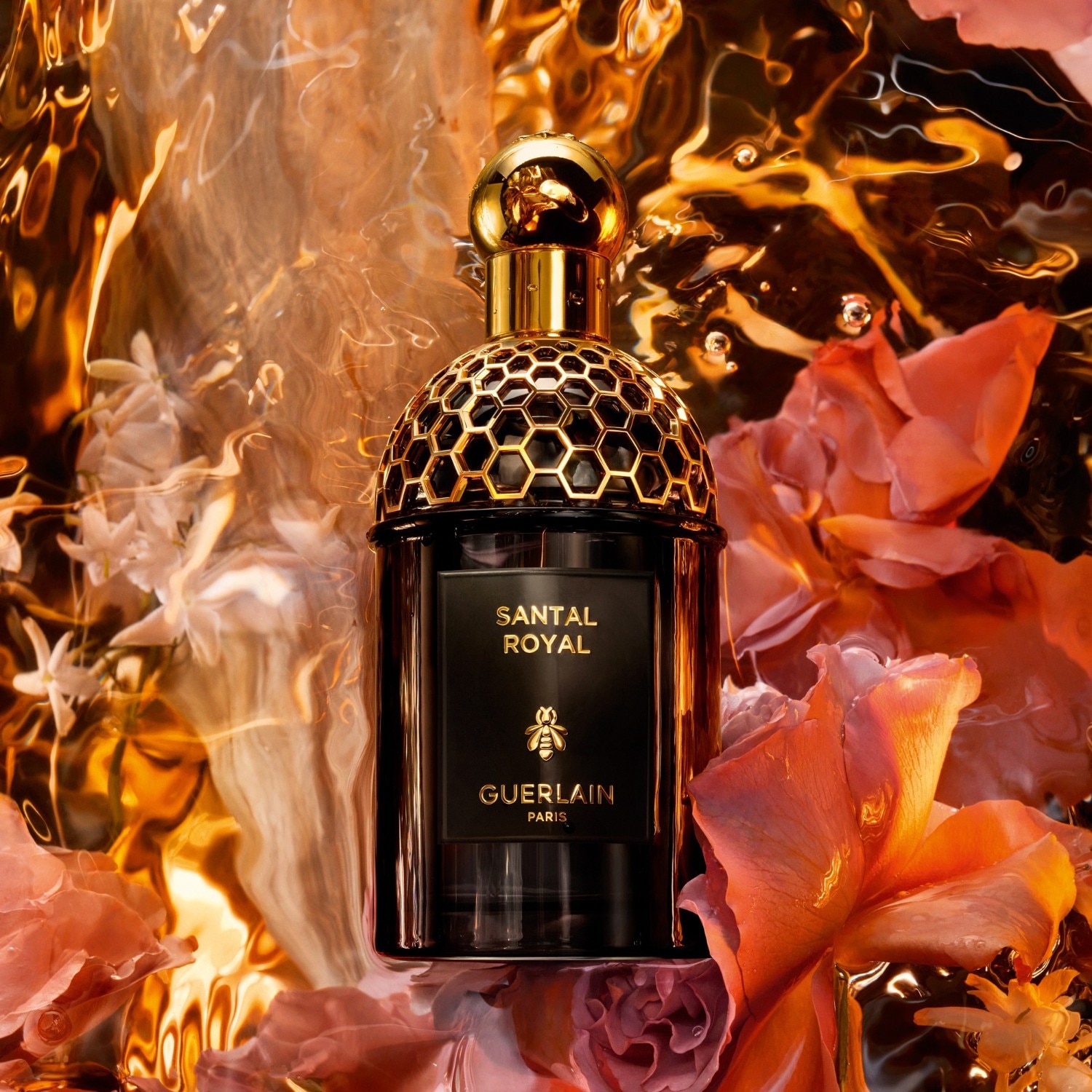 Absolus Allegoria Santal Royal Eau de Parfum Spray