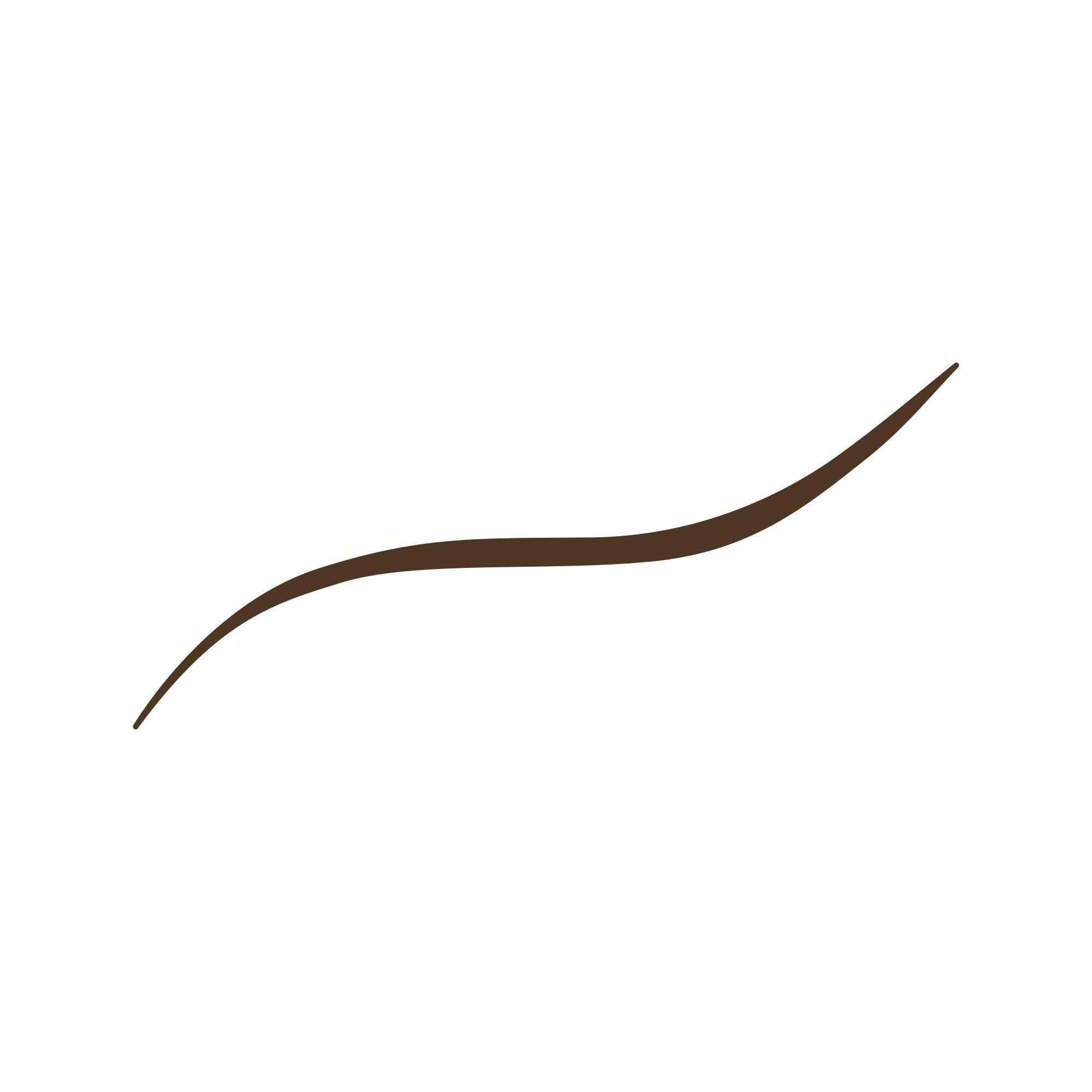 Flex Tip Eyeliner