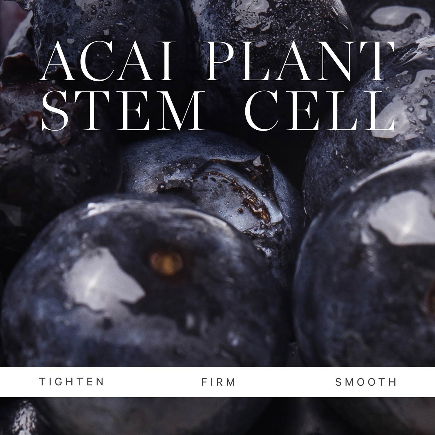Plant Retinol Moisturizer