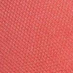  430 - FOSCHIA ROSA