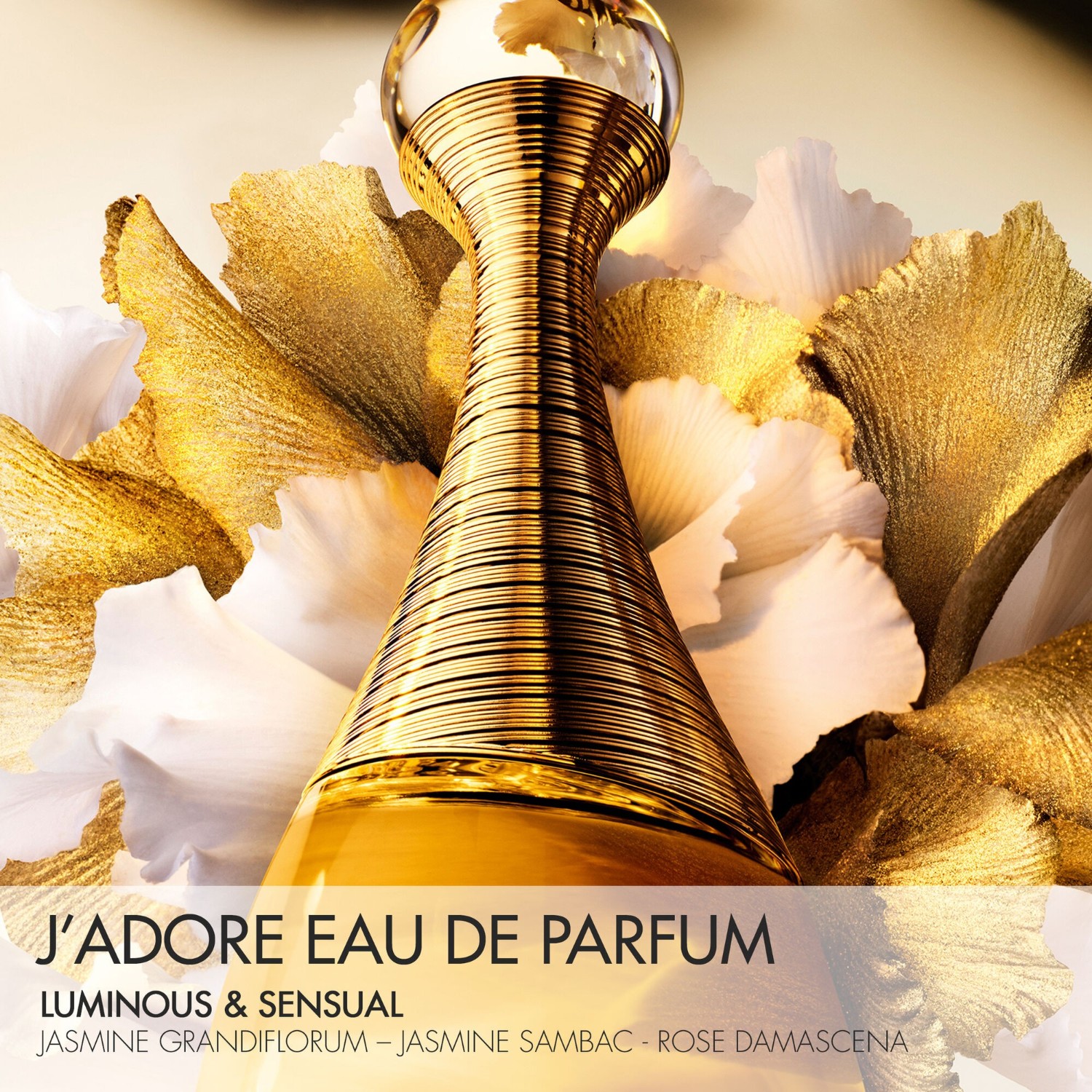 J'adore Eau de Parfum  -  notas florais e ensolaradas