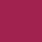  06 - Fig