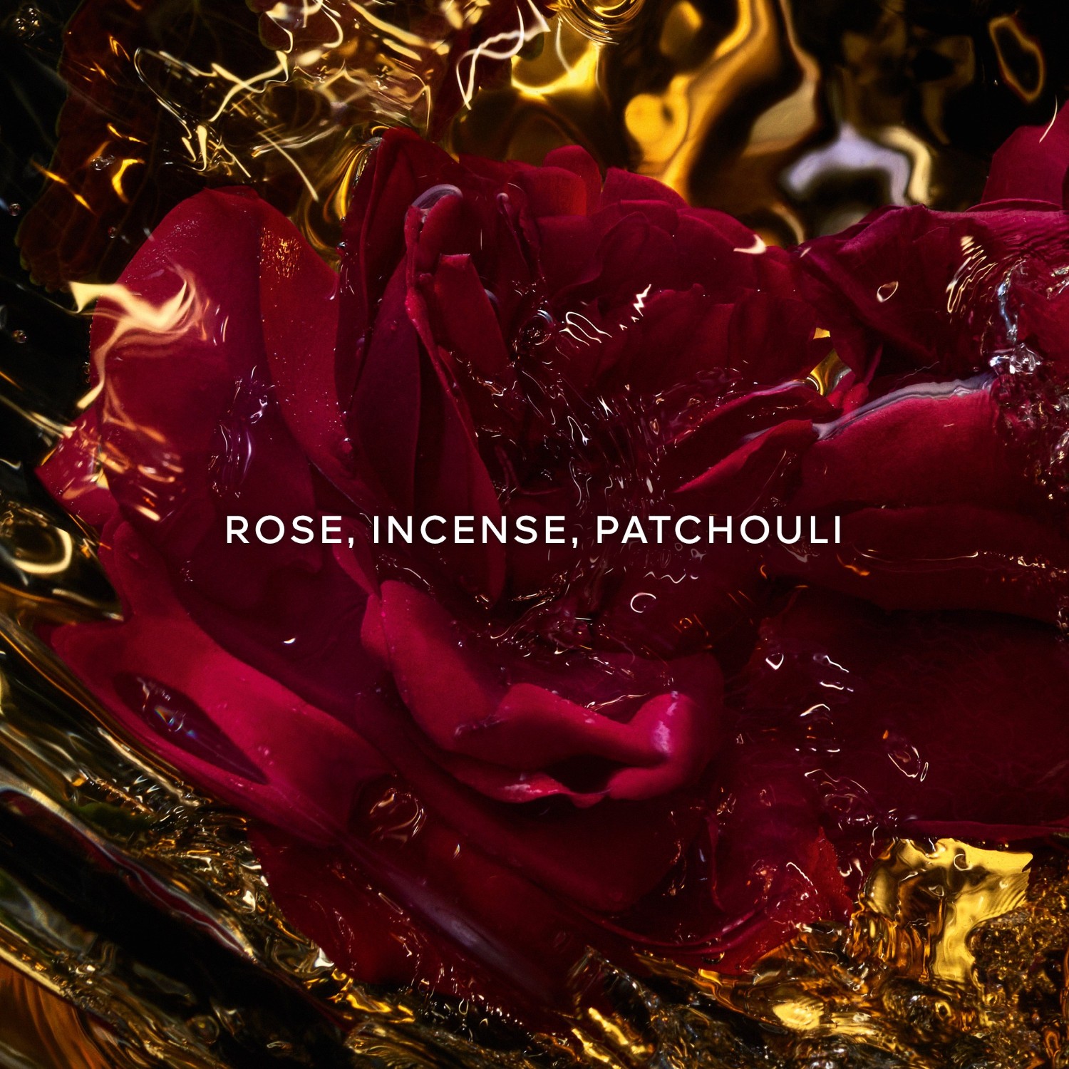 Absolus Allegoria Rose Amira Eau de Parfum Spray