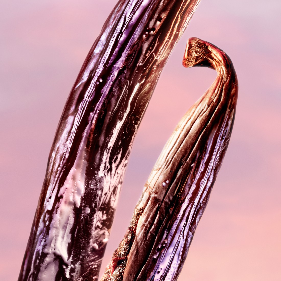 La Vie Est Belle Vanille Nude Eau de Parfum Spray