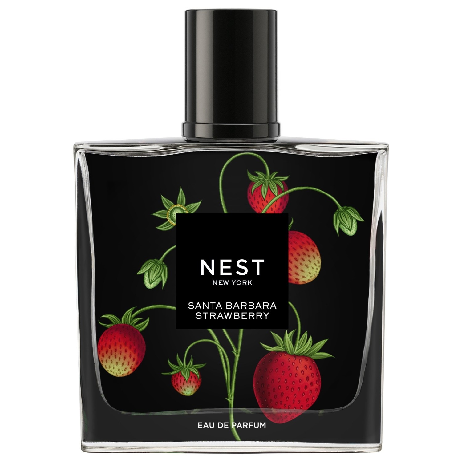 Sta Barbara Strawberry Eau De Parfum Spray