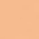 040 - Intense Warm Beige