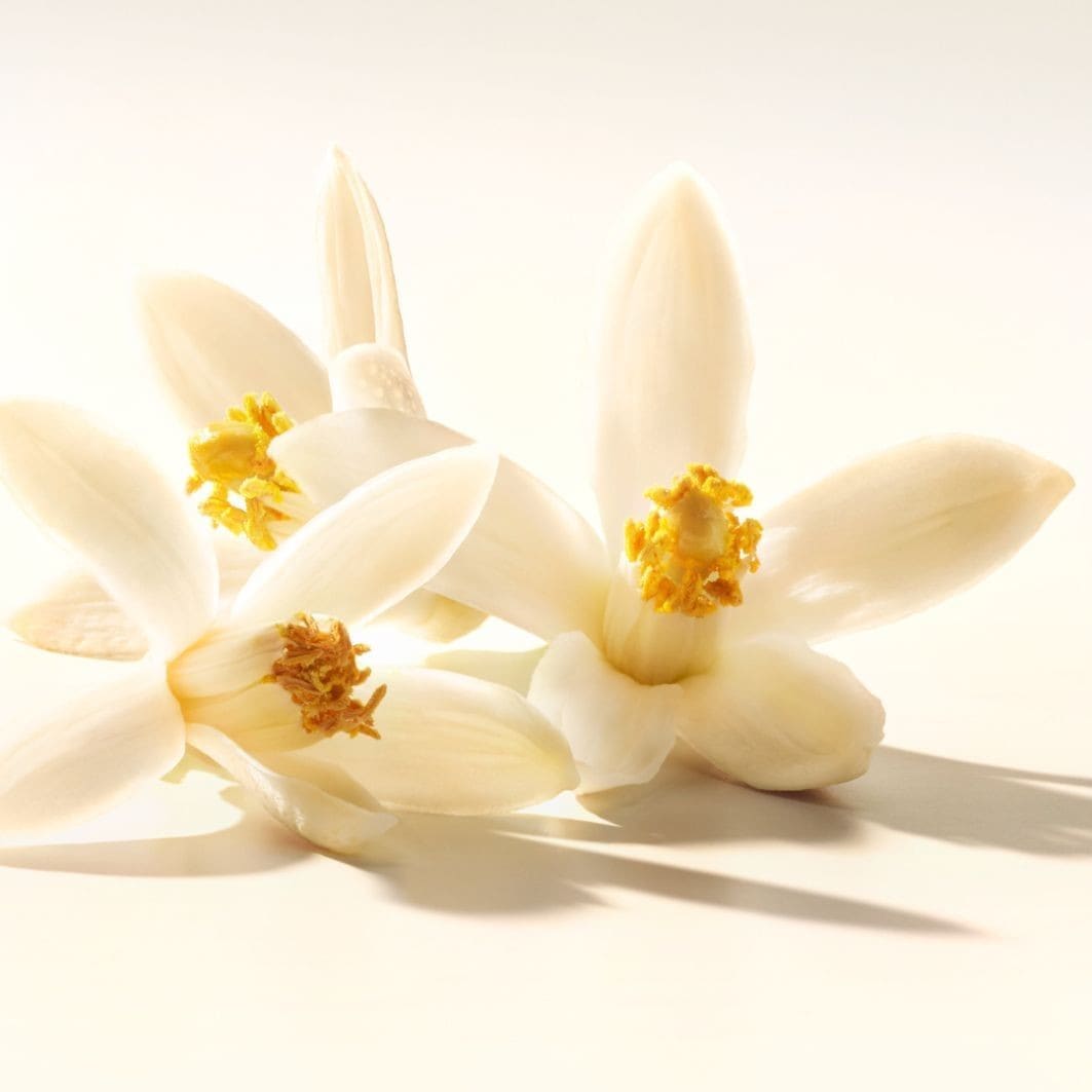 Lumiere D'Issey Eau de Parfum Spray