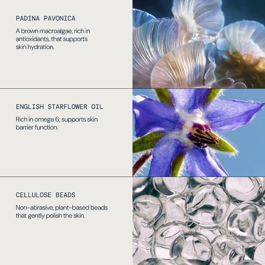 Renewal Serum