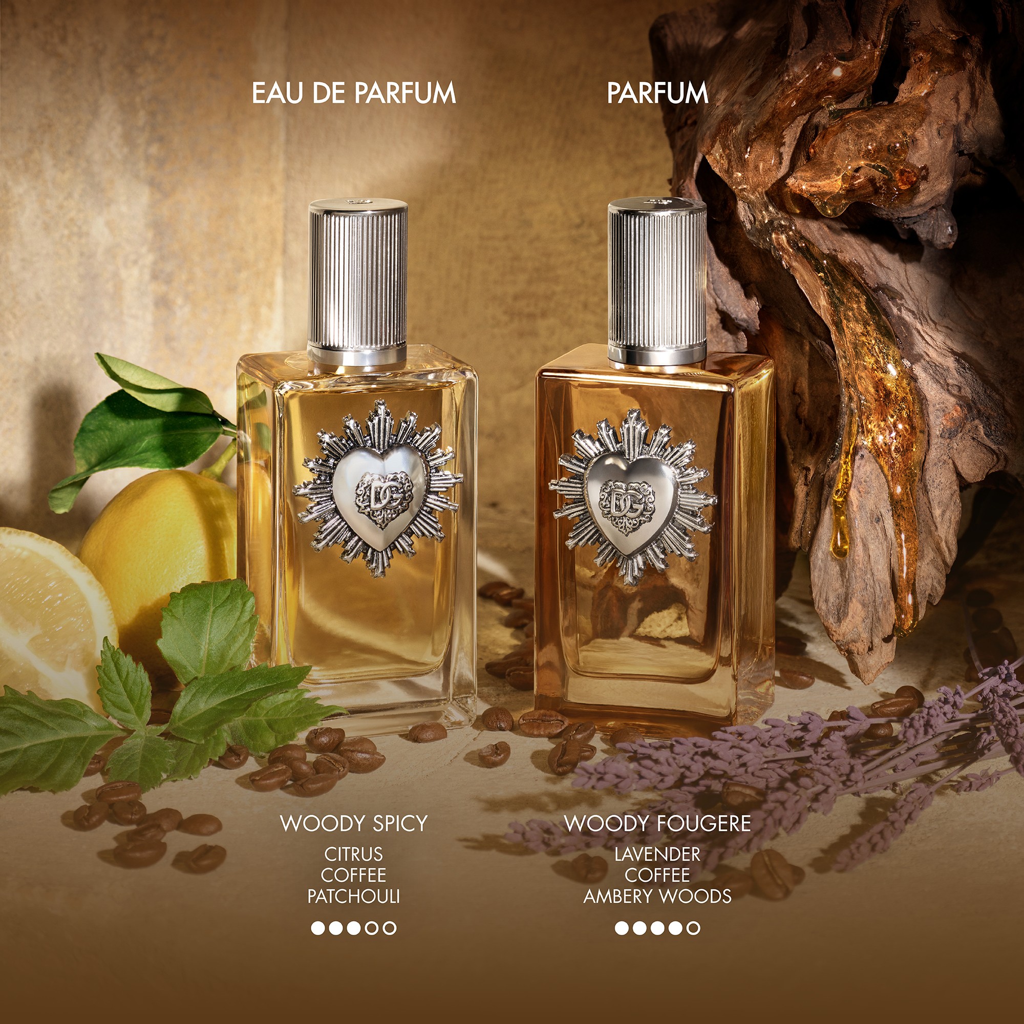Devotion Men Parfum Spray