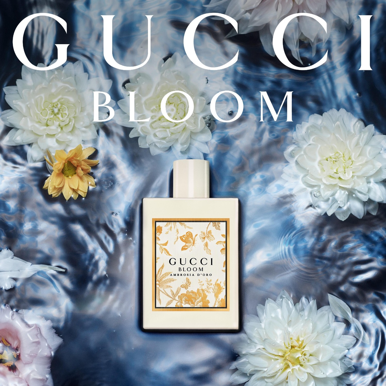 Bloom Ambrosia D´Oro Eau de Parfum Spray
