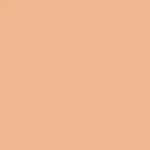  103 Warm Beige