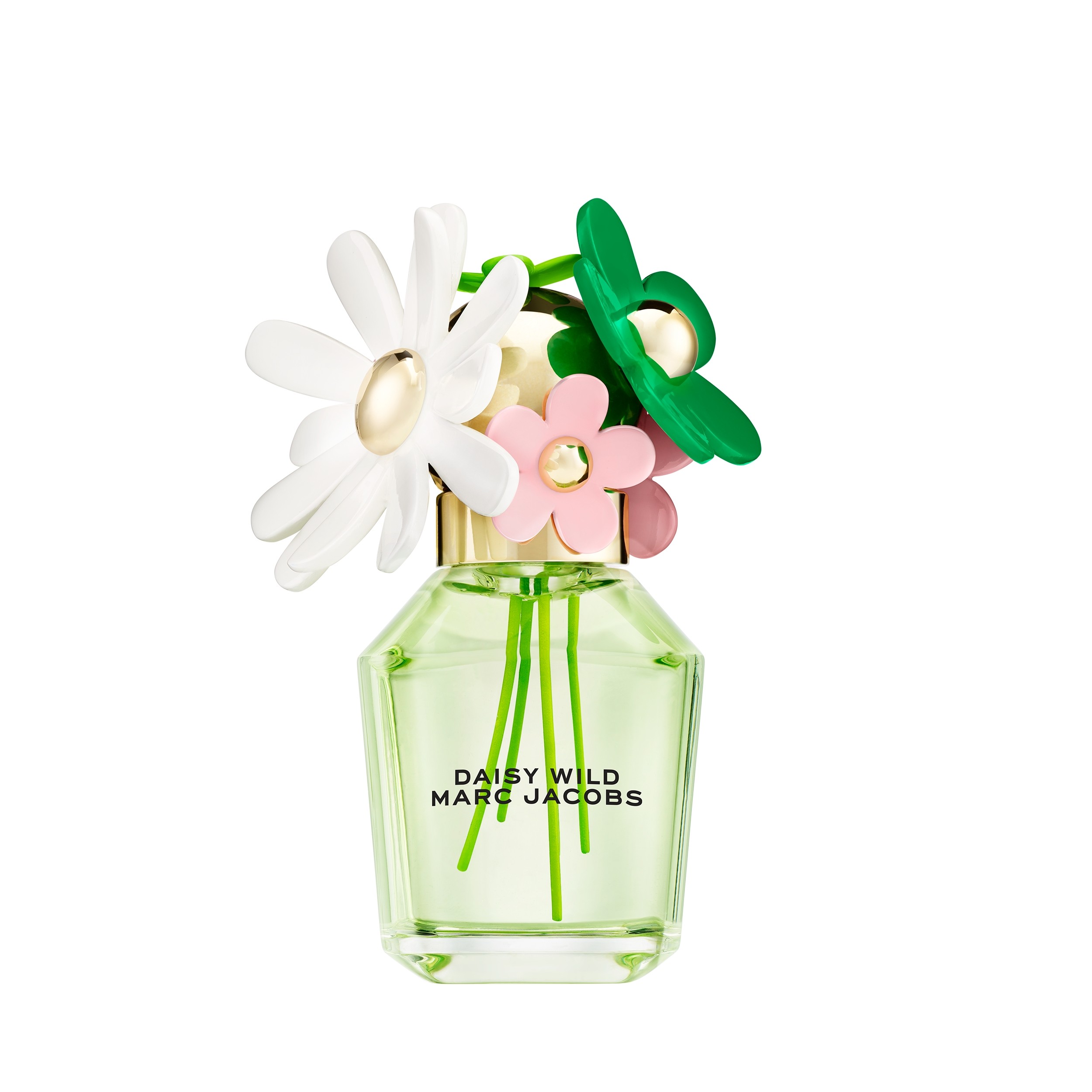 Daisy Wild Eau de Parfum Spray