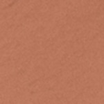  Tawny Mami