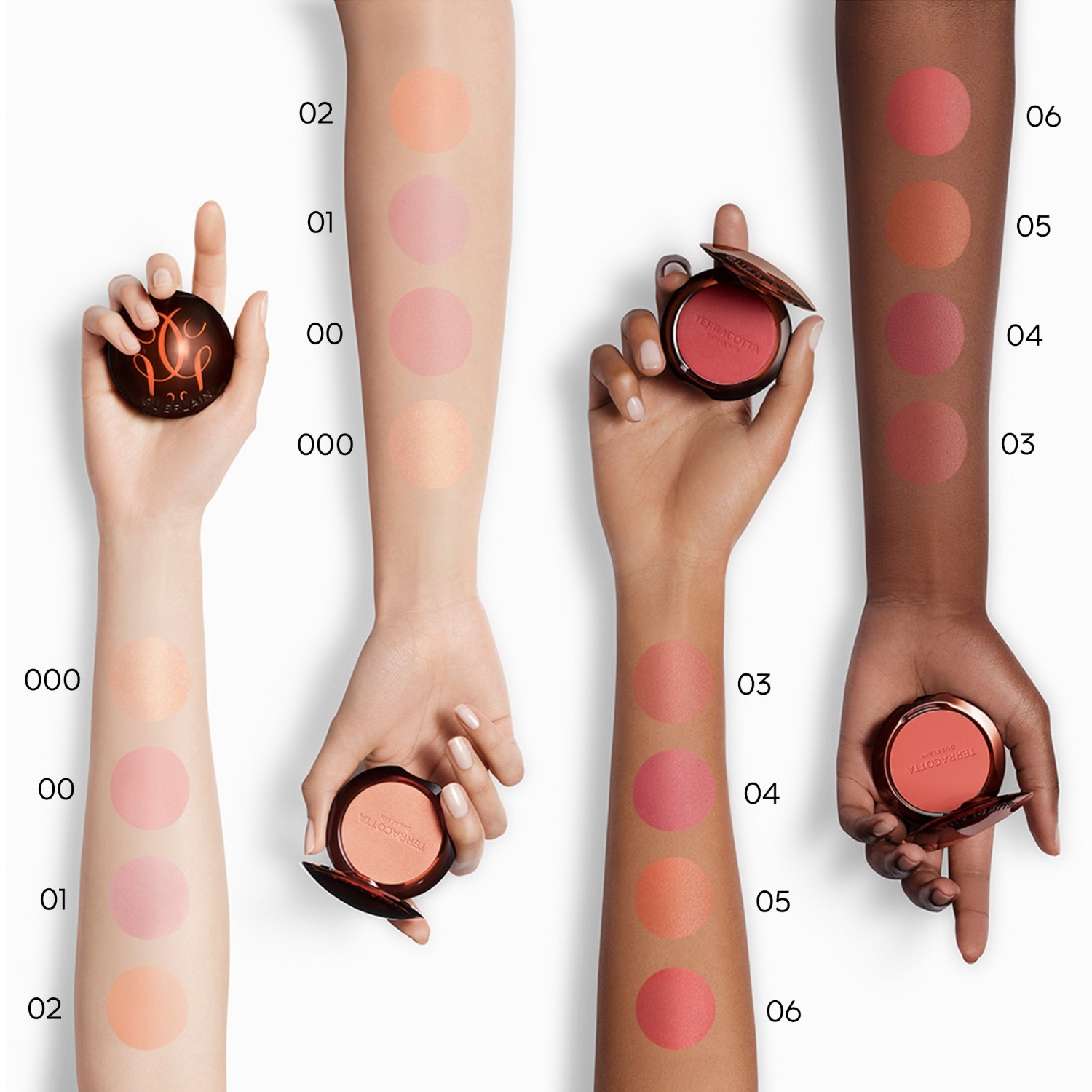 Blush Powder