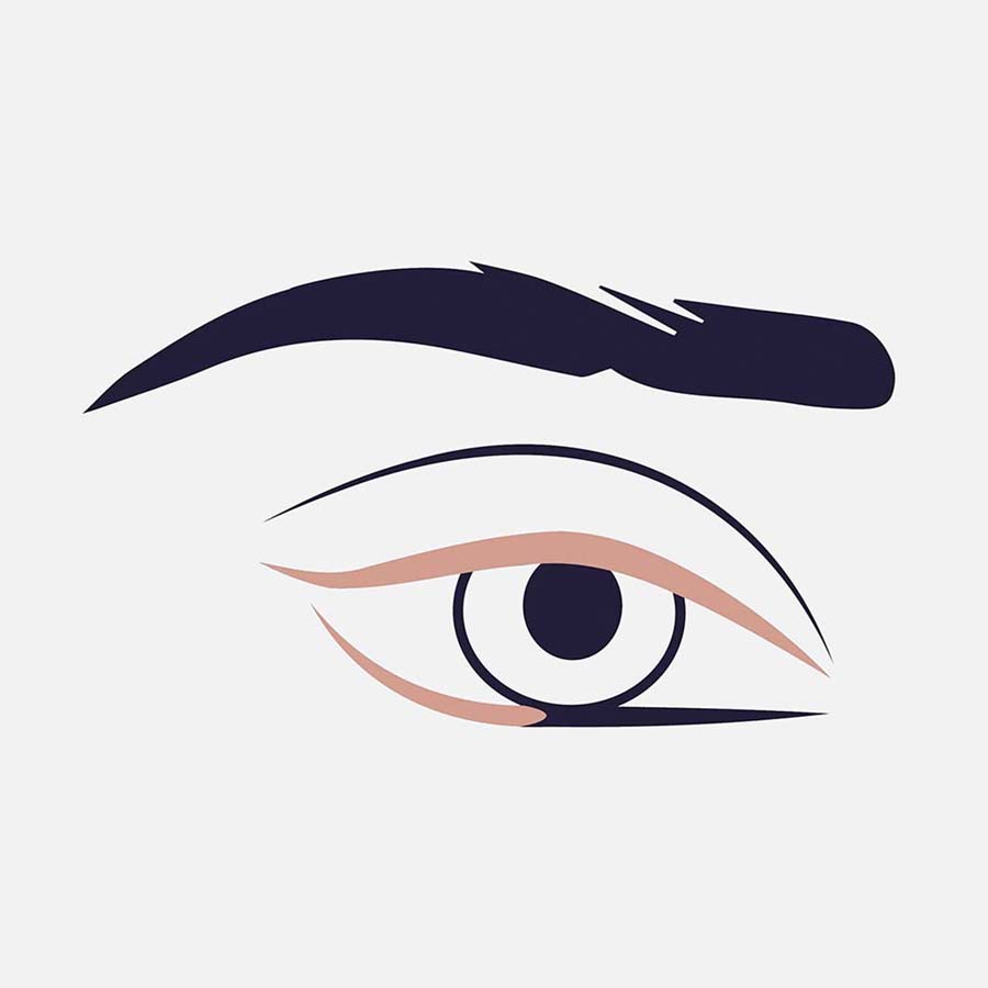 Eye Brushes 317 Wing Liner