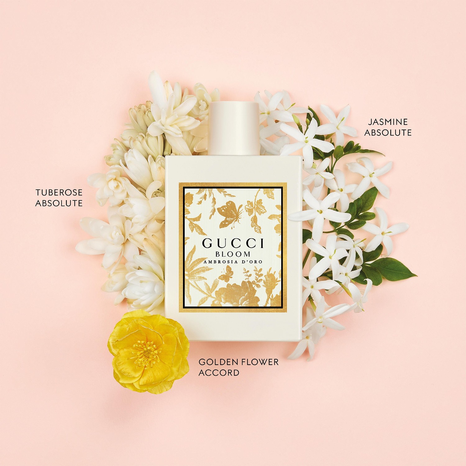 Bloom Ambrosia D´Oro Eau de Parfum Spray