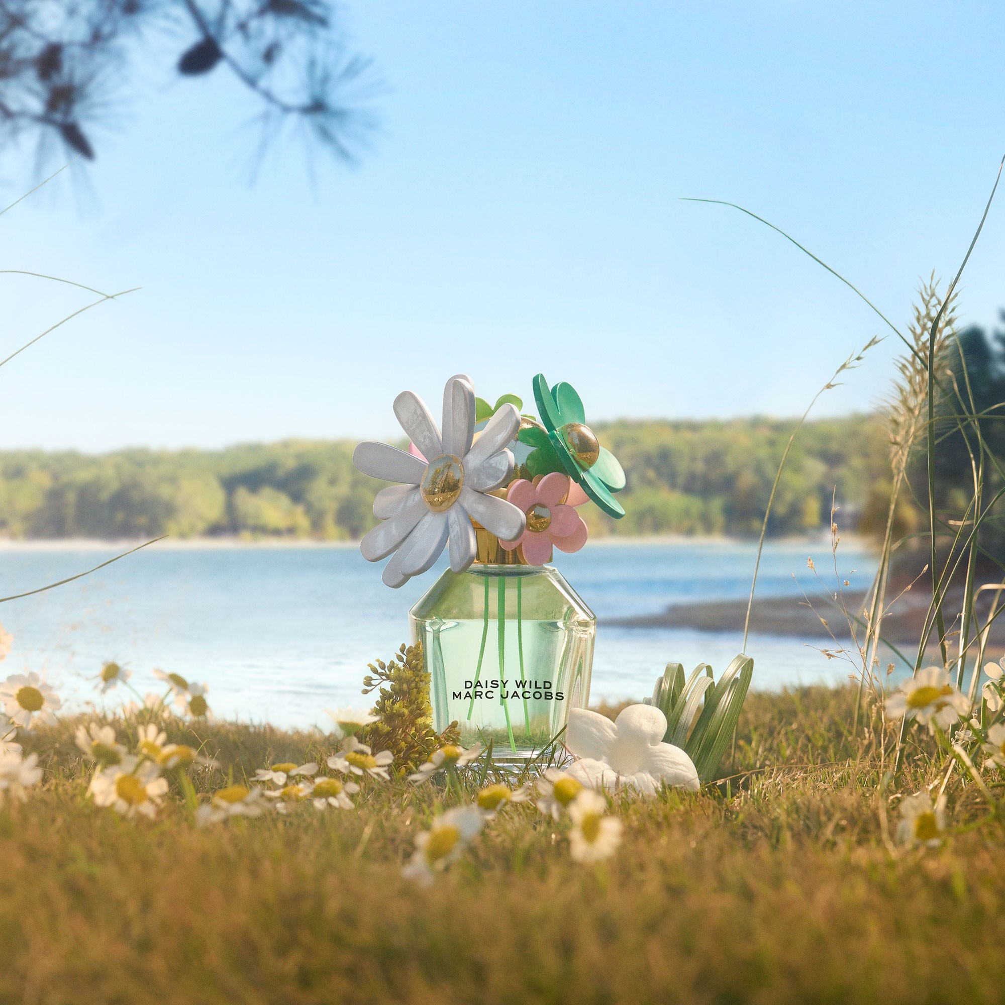 Daisy Wild Eau de Parfum Spray