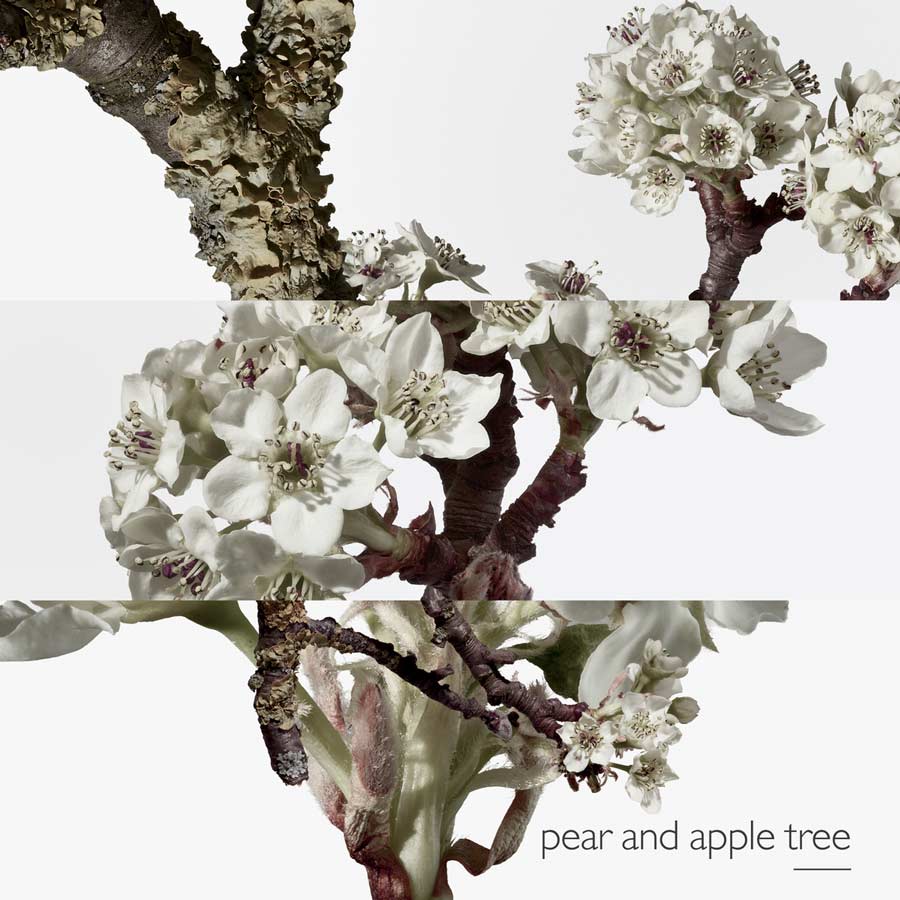 Un Jardin sur le Toit Eau de Toilette