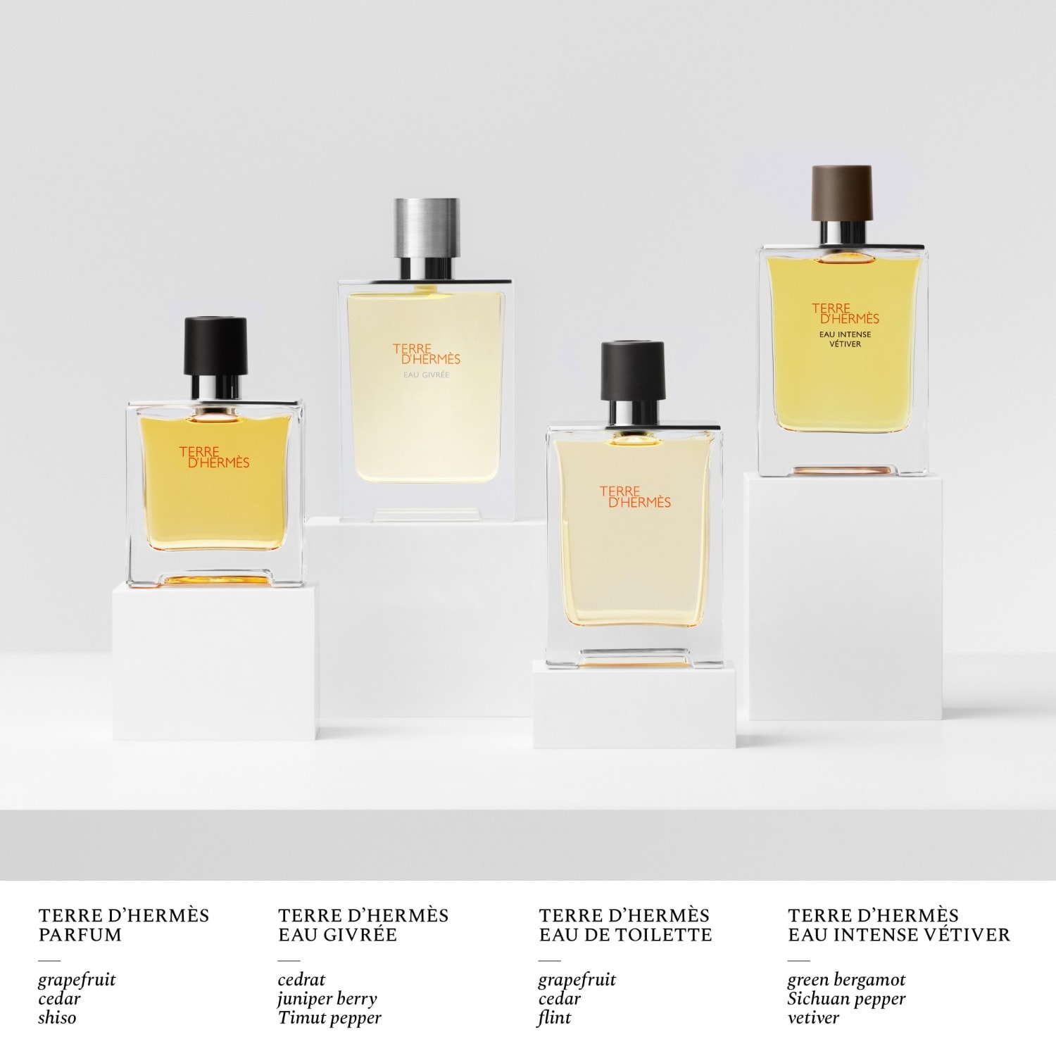 Terre D'Hermes Eau Givrée Eau de Parfum