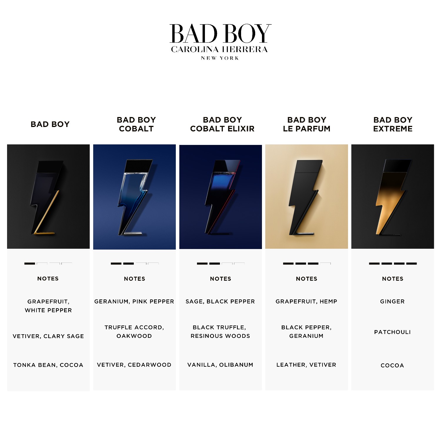 Bad Boy Cobalt Elixir Spray