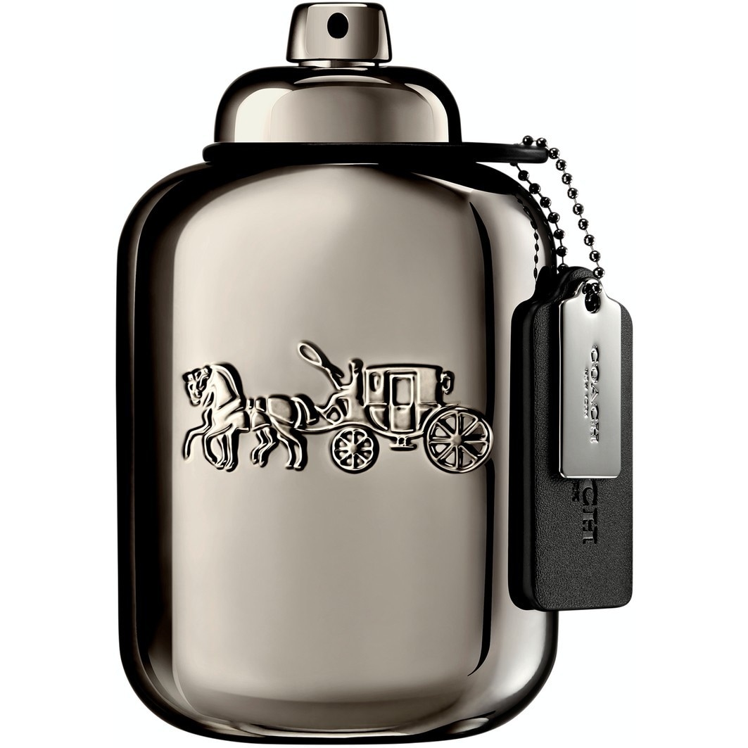 Men Pure Platinum Parfum Spray