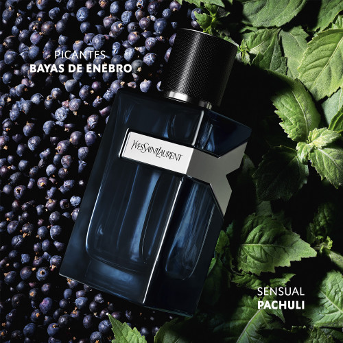 Y Eau de Parfum Spray Intense