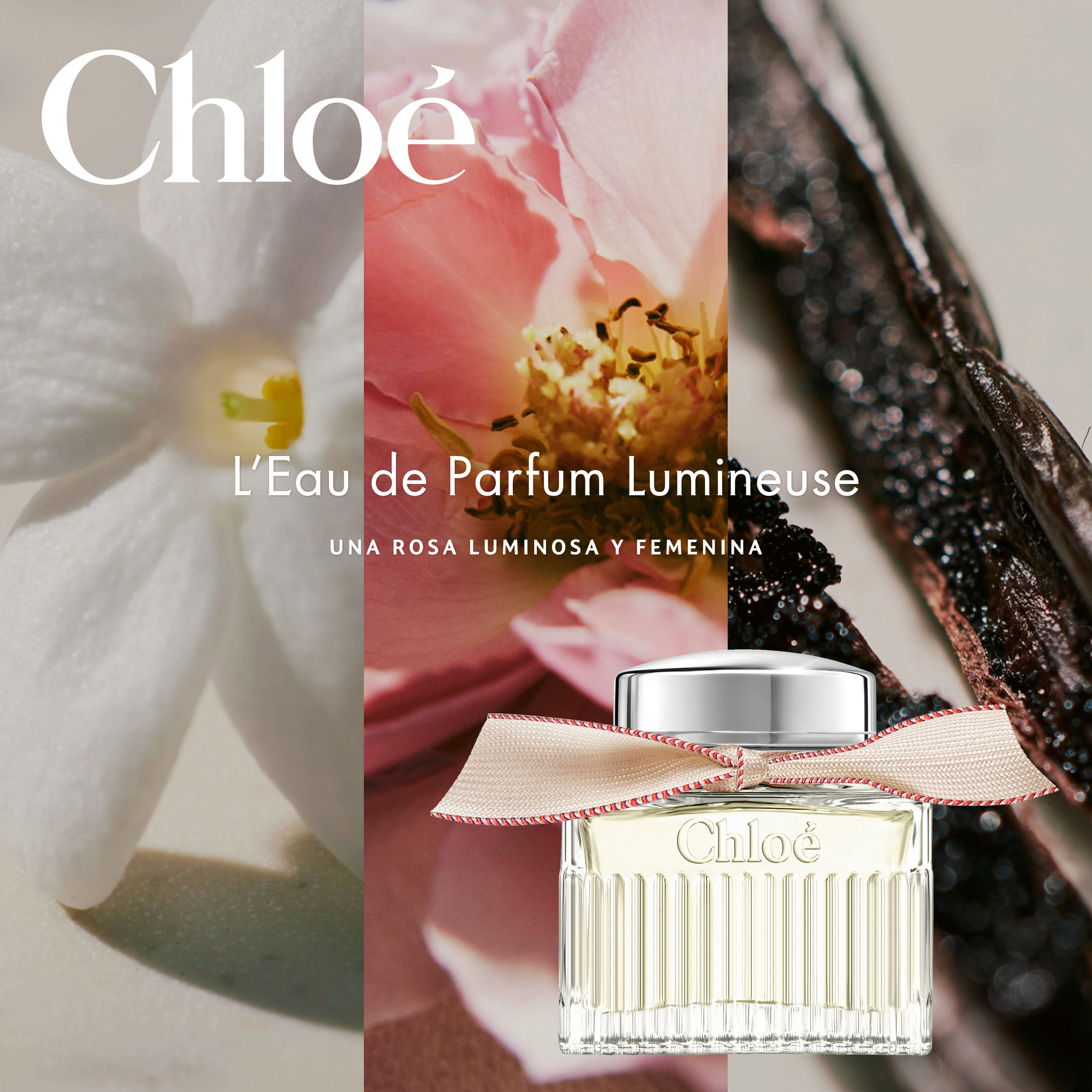 Signature Lumineuse Eau de Parfum Spray