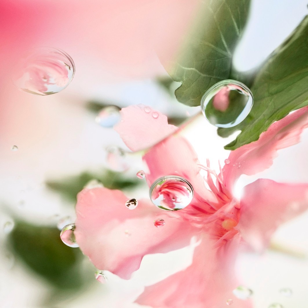 O De Lancome Over The Top Eau de Toilette Spray