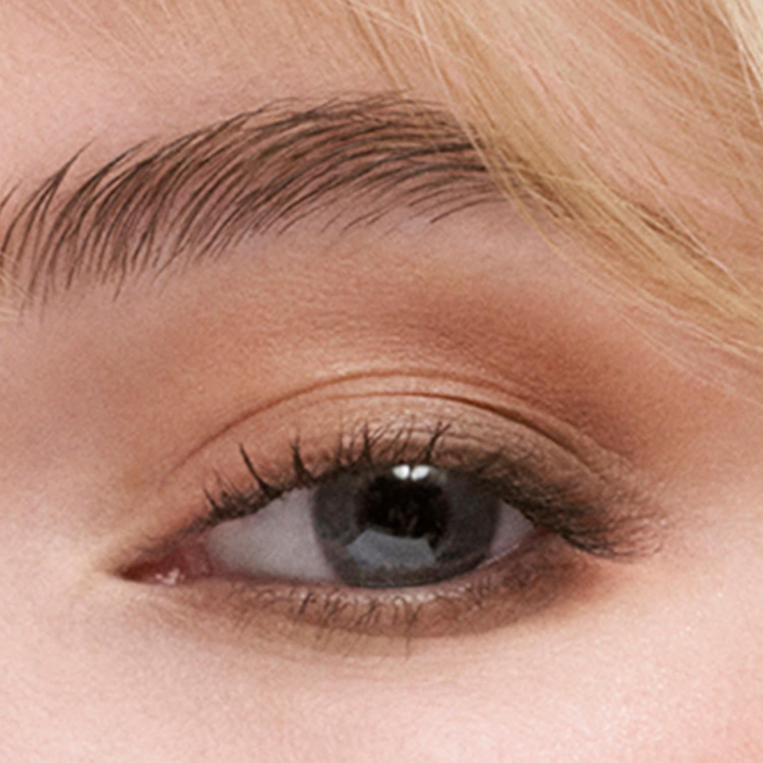 Eyeshadow Quad