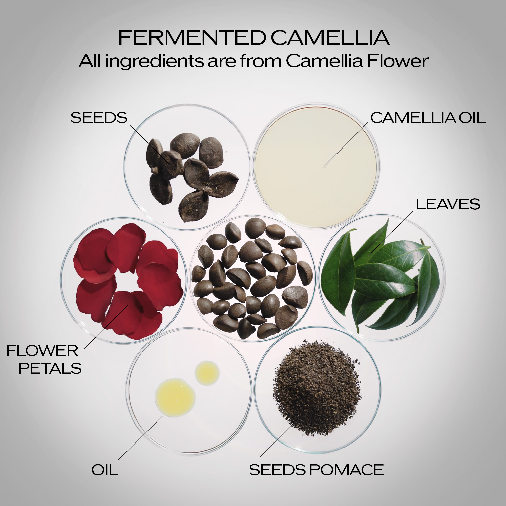 Power Infusing Serum Refill