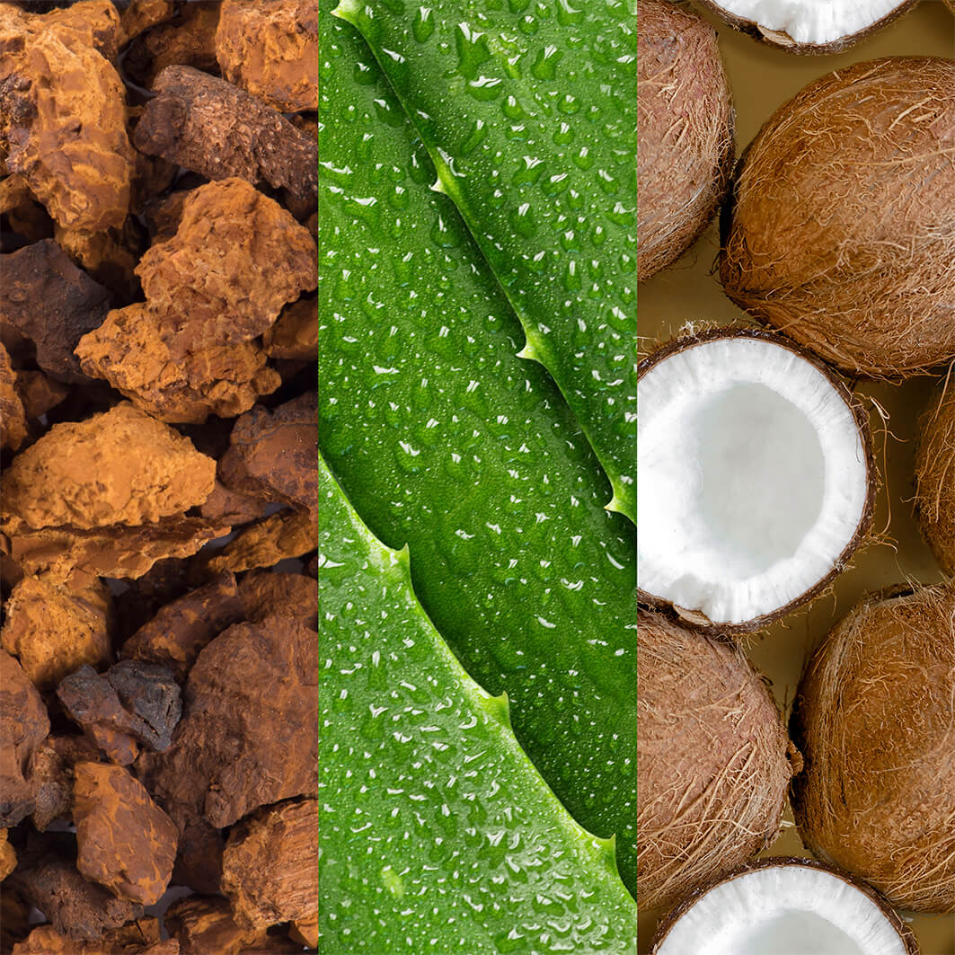 Aloe Adaptogens & Coconut