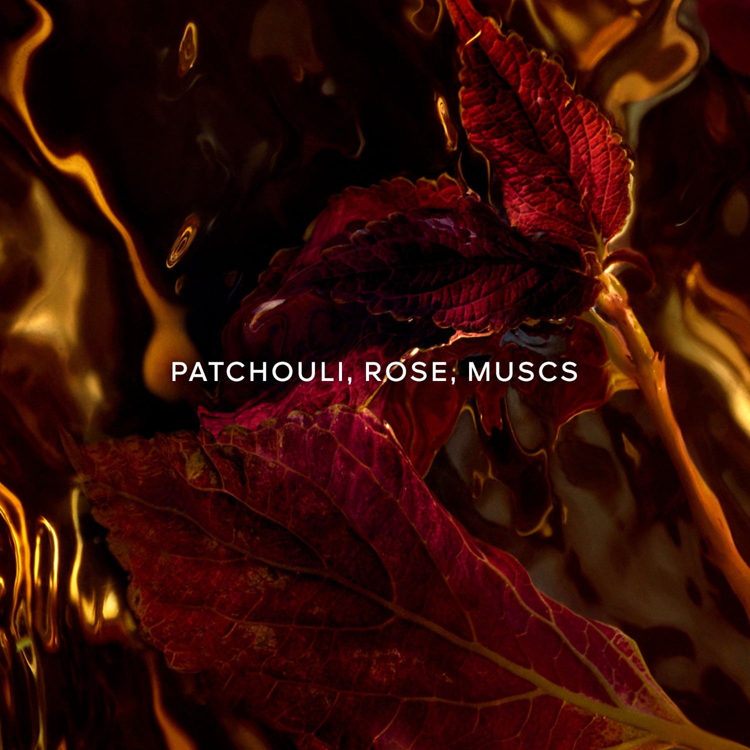 Absolus Allegoria Patchouli Ardent Eau de Parfum Spray