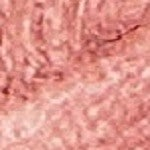  363 - Nude Rose