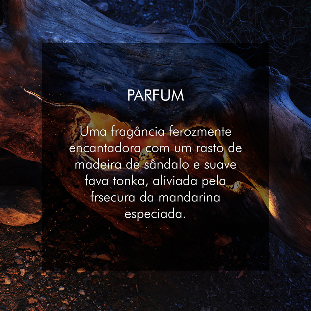 Recarga Sauvage Parfum  - notas cítricas e amadeiradas