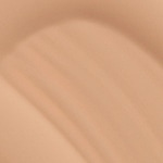 2N1  - Desert Beige