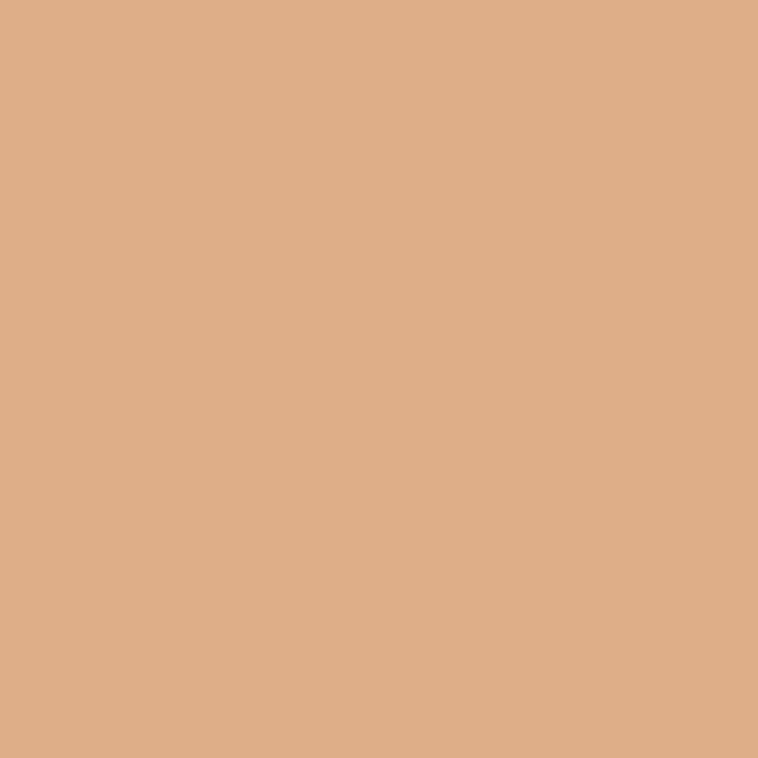 Silk Foundation