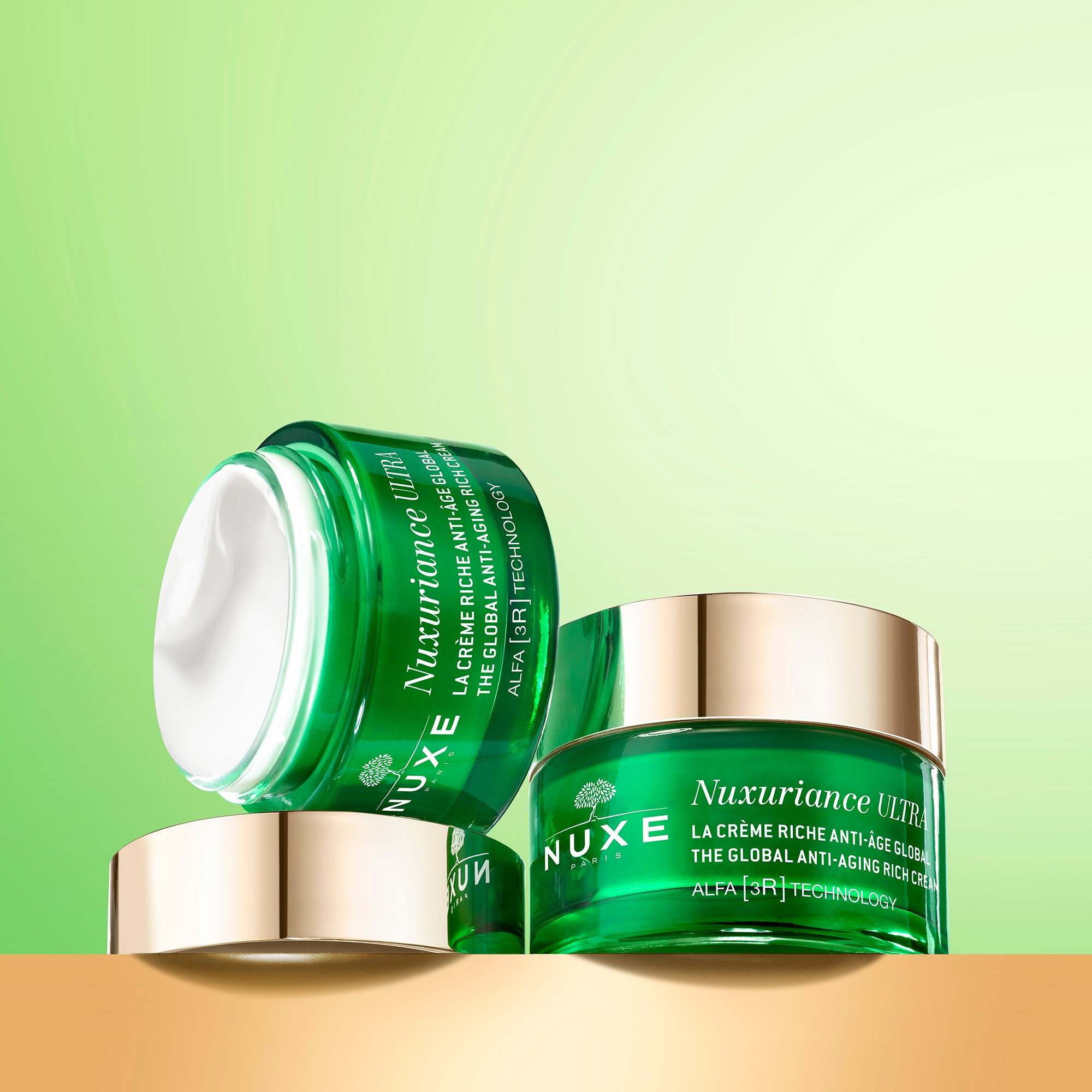 Rich Day Cream Dry Skin