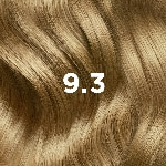 9.3 Light Gold Blonde