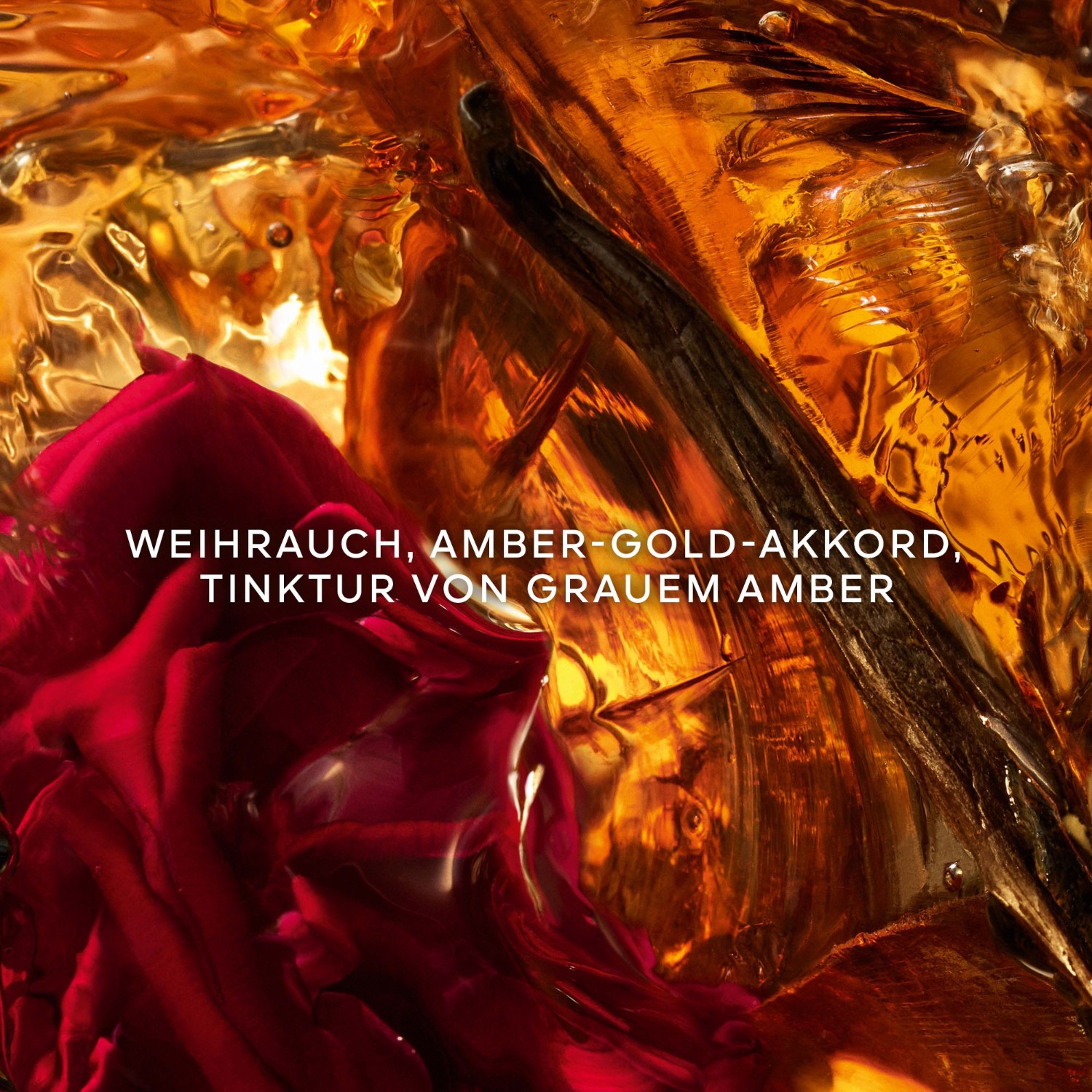 Absolus Allegoria Ambre Samar Eau de Parfum Spray