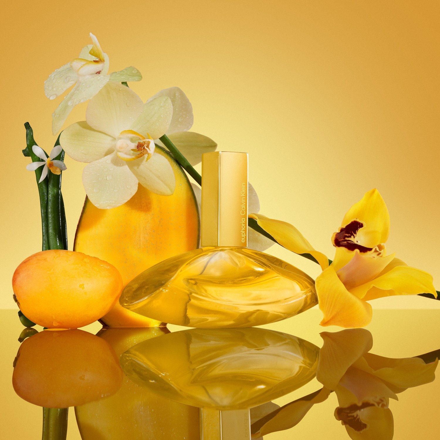 Euphoria Solar Elixir Parfum Intense