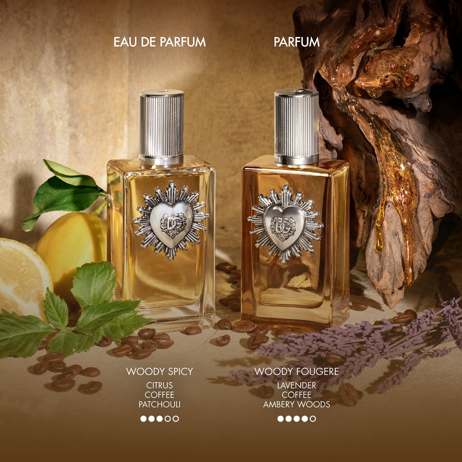 Devotion Men Parfum Spray