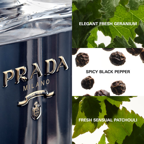 L'Homme Prada Eau de Toilette