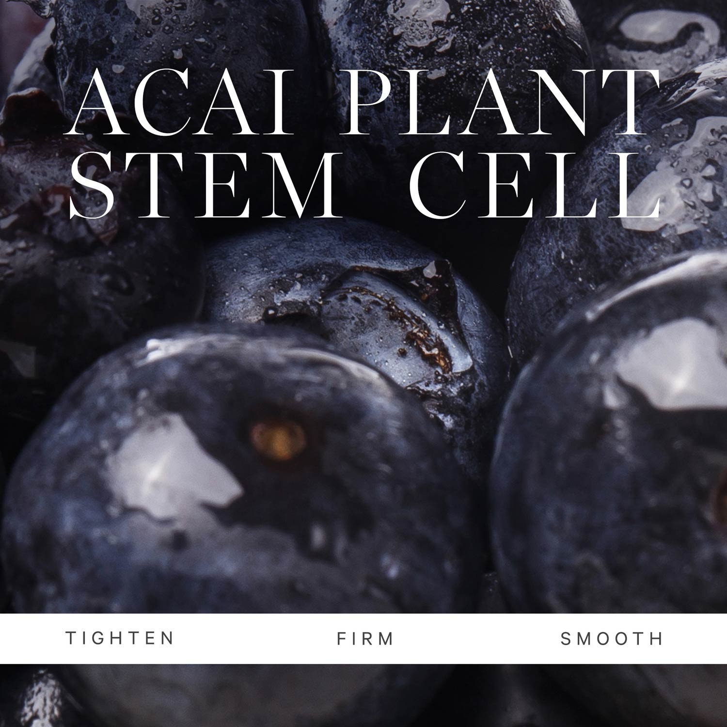 Plant Retinol Moisturizer Refill